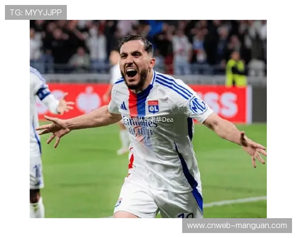 里昂主场设施升级，迎接欧战赛事